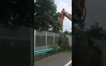 Árbol Trimmer con Saw2