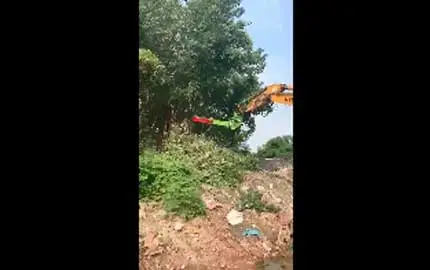 Árbol Trimmer con Saw1