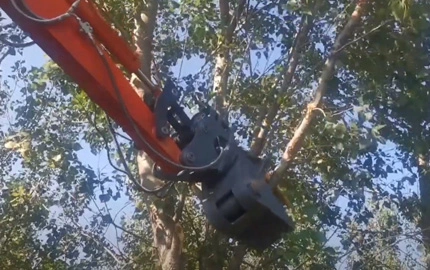 Cizalla de árbol con rotación de 360 °
